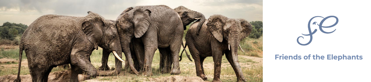 Friends of the Elephants